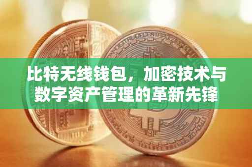 比特无线钱包，加密技术与数字资产管理的革新先锋
