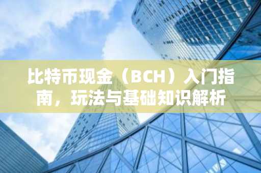 比特币现金（BCH）入门指南，玩法与基础知识解析