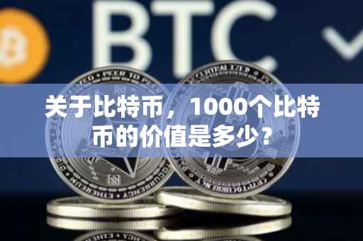 关于比特币，1000个比特币的价值是多少？