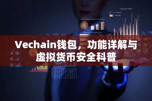 Vechain钱包，功能详解与虚拟货币安全科普