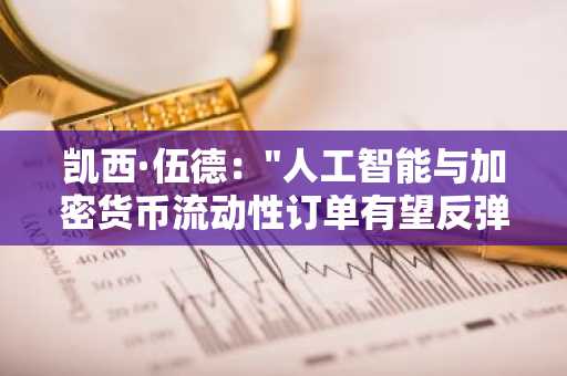 凯西·伍德:"人工智能与加密货币流动性订单有望反弹"