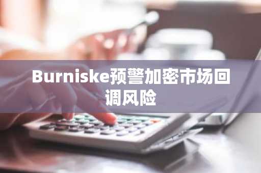 Burniske预警加密市场回调风险
