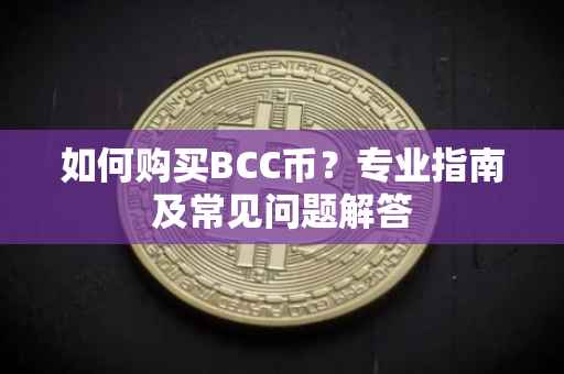 如何购买BCC币？专业指南及常见问题解答