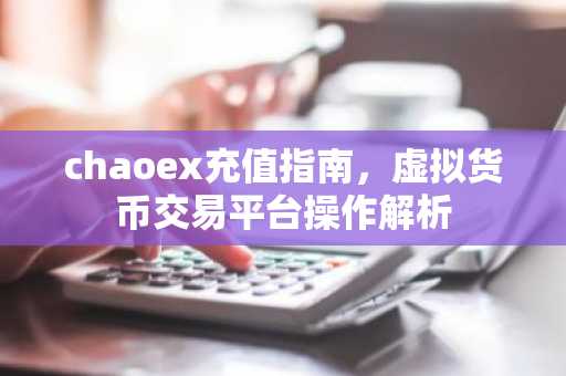 chaoex充值指南，虚拟货币交易平台操作解析