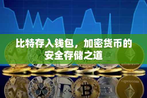 比特存入钱包，加密货币的安全存储之道