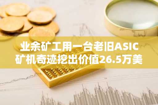 业余矿工用一台老旧ASIC矿机奇迹挖出价值26.5万美元的比特币区块