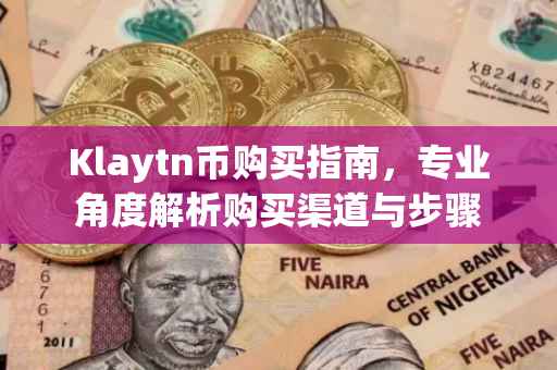 Klaytn币购买指南,专业角度解析购买渠道与步骤