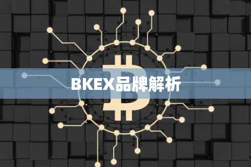 BKEX品牌解析