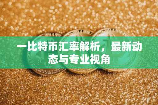 一比特币汇率解析,最新动态与专业视角