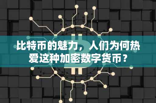 比特币的魅力，人们为何热爱这种加密数字货币？