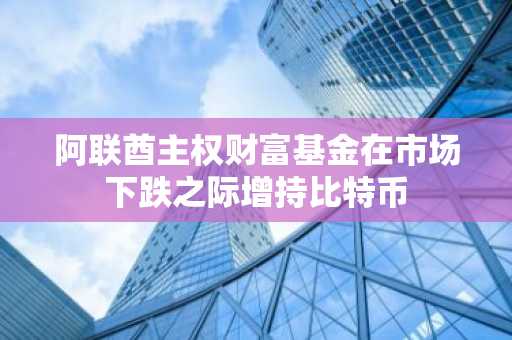 阿联酋主权财富基金在市场下跌之际增持比特币