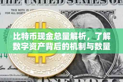 比特币现金总量解析,了解数字资产背后的机制与数量上限