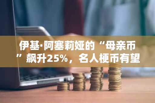 伊基·阿塞莉娅的“母亲币”飙升25%，名人梗币有望迎来年末大涨。