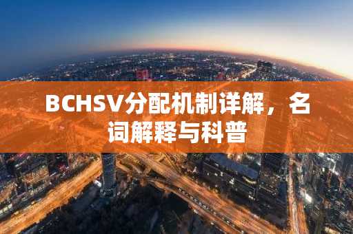 BCHSV分配机制详解，名词解释与科普