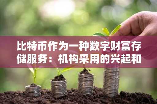 比特币作为一种数字财富存储服务：机构采用的兴起和宏观经济利好因素