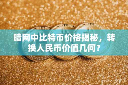 暗网中比特币价格揭秘,转换人民币价值几何?