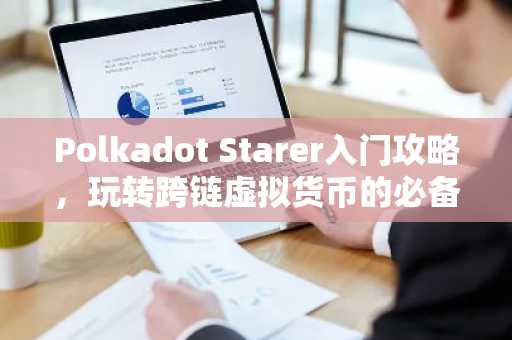 Polkadot Starer入门攻略，玩转跨链虚拟货币的必备指南