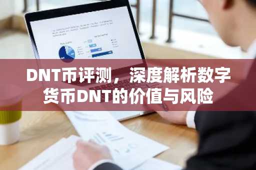 DNT币评测，深度解析数字货币DNT的价值与风险