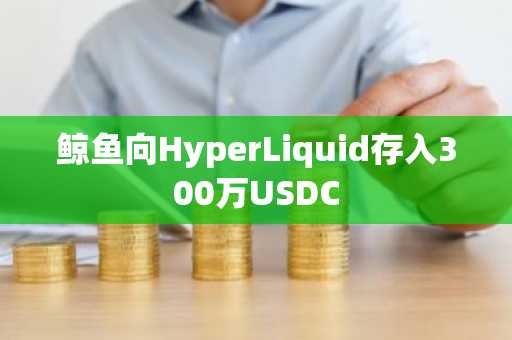 鲸鱼向HyperLiquid存入300万USDC
