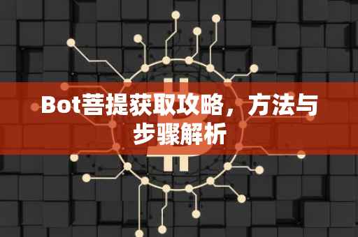 Bot菩提获取攻略，方法与步骤解析