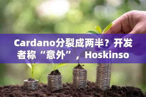 Cardano分裂成两半？开发者称“意外”，Hoskinson称“攻击”
