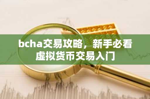 bcha交易攻略，新手必看虚拟货币交易入门