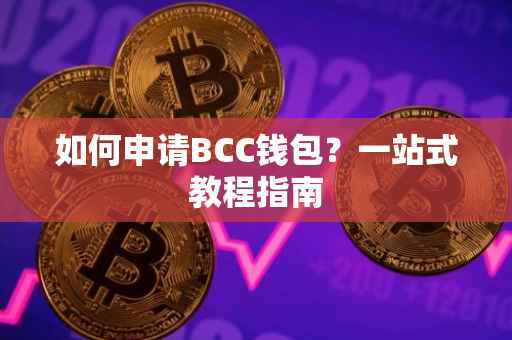如何申请BCC钱包？一站式教程指南