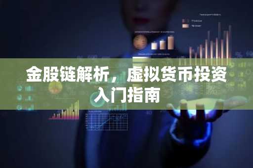 金股链解析，虚拟货币投资入门指南
