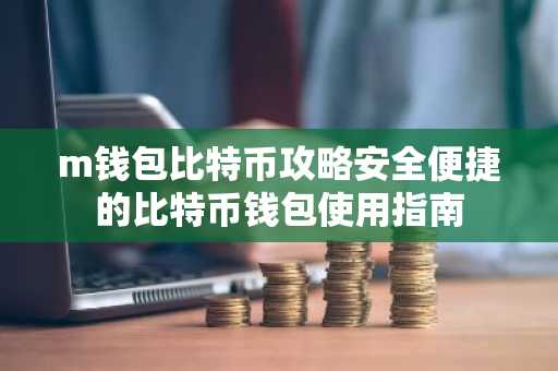 m钱包比特币攻略安全便捷的比特币钱包使用指南