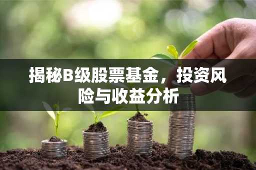 揭秘B级股票基金，投资风险与收益分析