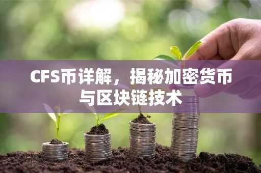 CFS币详解，揭秘加密货币与区块链技术