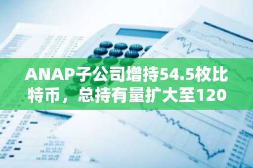ANAP子公司增持54.5枚比特币，总持有量扩大至1200枚