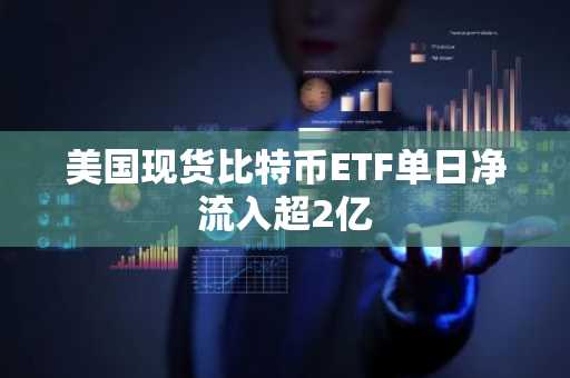 美国现货比特币ETF单日净流入超2亿