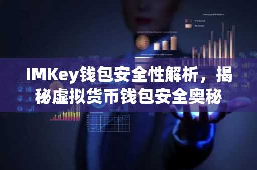 IMKey钱包安全性解析，揭秘虚拟货币钱包安全奥秘
