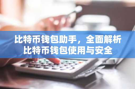 比特币钱包助手,全面解析比特币钱包使用与安全