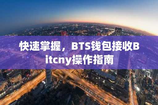 快速掌握,BTS钱包接收Bitcny操作指南