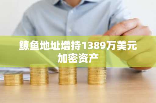 鲸鱼地址增持1389万美元加密资产