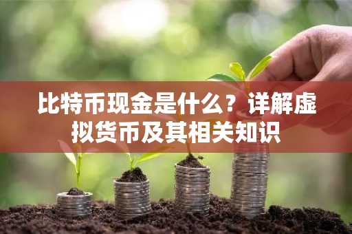 比特币现金是什么？详解虚拟货币及其相关知识