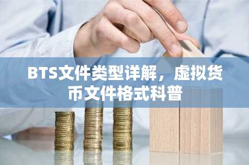 BTS文件类型详解,虚拟货币文件格式科普