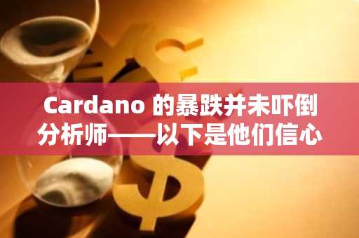 Cardano 的暴跌并未吓倒分析师——以下是他们信心依然高涨的原因