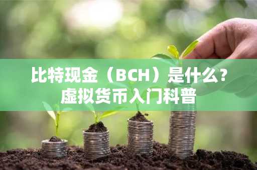 比特现金（BCH）是什么？虚拟货币入门科普