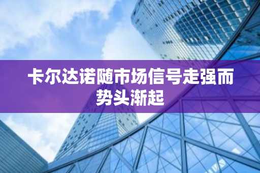 卡尔达诺随市场信号走强而势头渐起