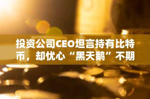 投资公司CEO坦言持有比特币，却忧心“黑天鹅”不期而至