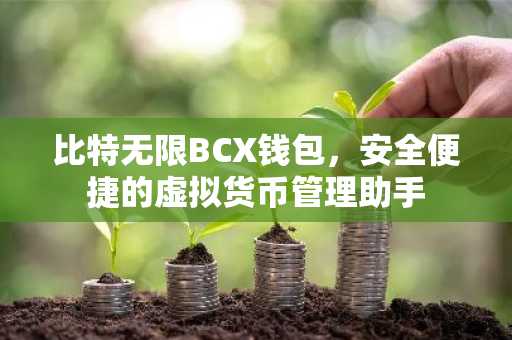 比特无限BCX钱包，安全便捷的虚拟货币管理助手
