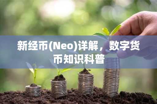 新经币(Neo)详解，数字货币知识科普