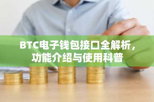 BTC电子钱包接口全解析，功能介绍与使用科普