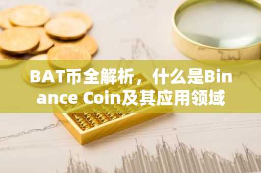 BAT币全解析，什么是Binance Coin及其应用领域