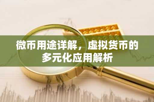 微币用途详解，虚拟货币的多元化应用解析
