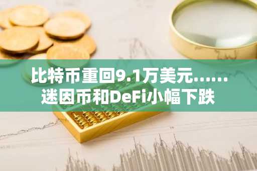 比特币重回9.1万美元……迷因币和DeFi小幅下跌