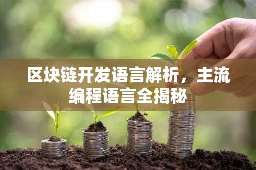 区块链开发语言解析，主流编程语言全揭秘